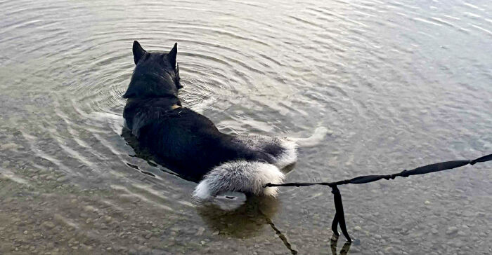 This Is How He Spends Most Of His Time In The Summer