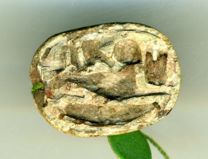 Scaraboid; Cauroid Pearl, Lower Egypt, Eastern Delta