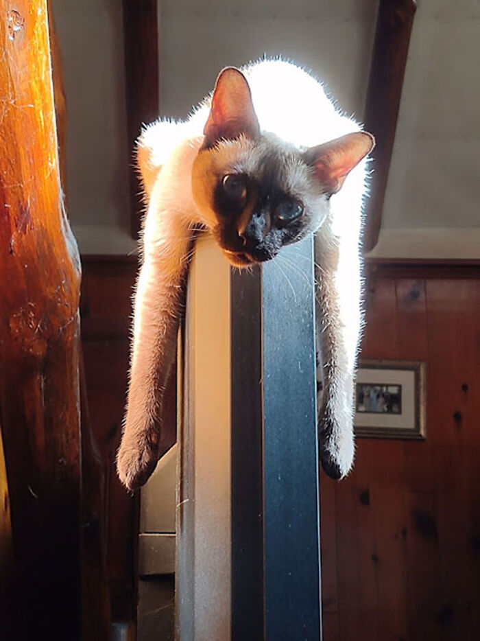 Goofiest Pic Of Have Of Her. She's Just Looking At Me Like, "Can I Help You With Something?"