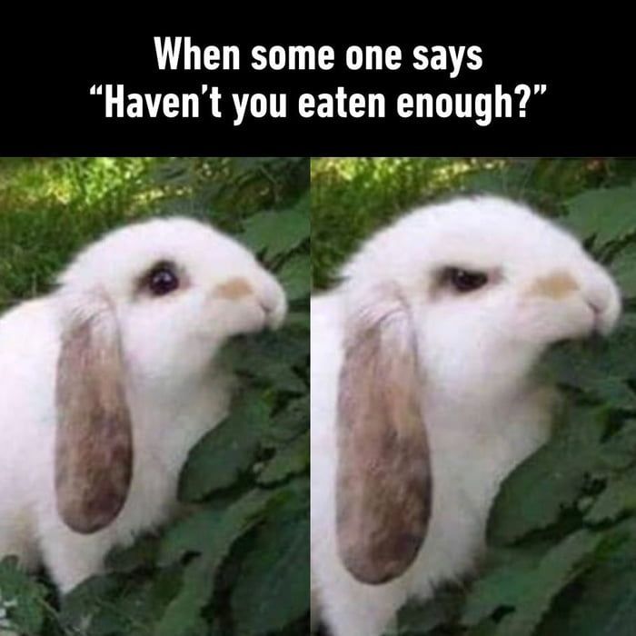 Make A Meme, Rhyme Or A Joke