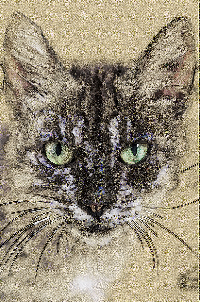 We Rescued Min-Min, Who Turned Out To Be The Most Lovely Little Girl You Could Imagine We Rescued Min-Min, Who Turned Out To Be The Most Lovely Little Girl You Could Imagine