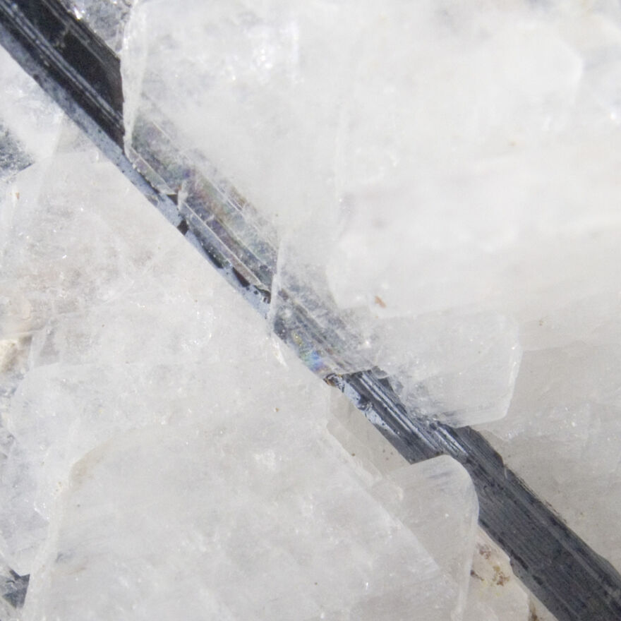 Albite On Aegirine, Mt. St. Hilaire, Quebec, Canada