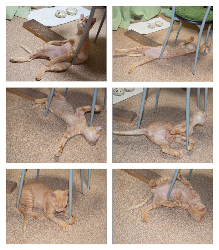 More Photos Of Chataro's Amazing Transformation