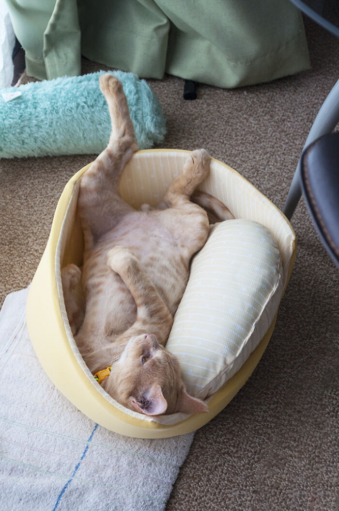 More Photos Of Chataro's Amazing Transformation