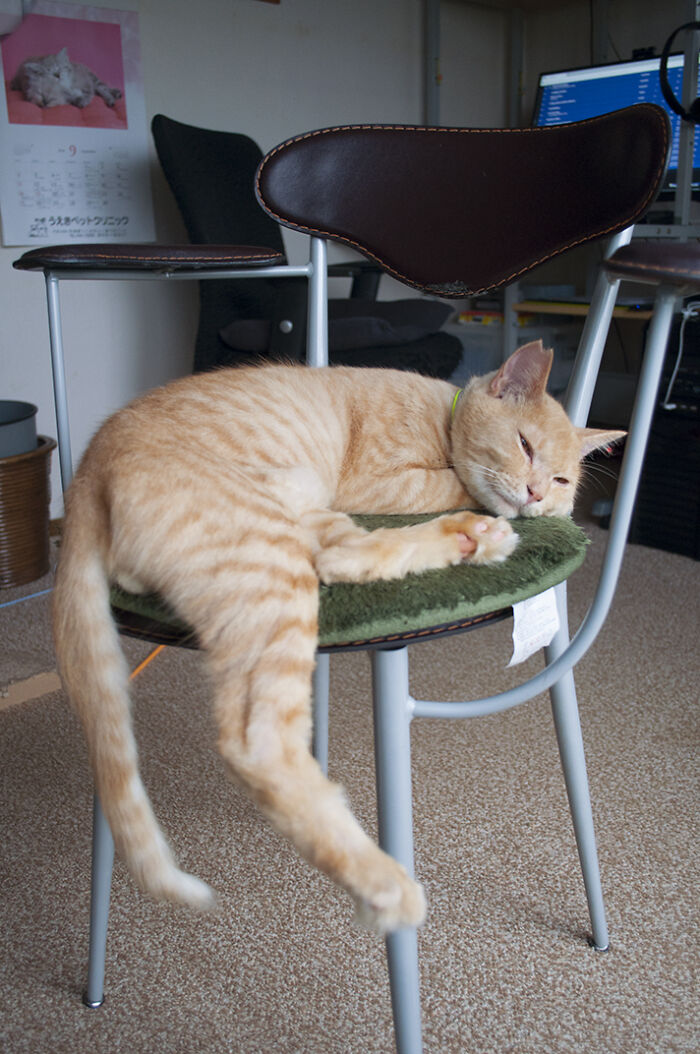 More Photos Of Chataro's Amazing Transformation