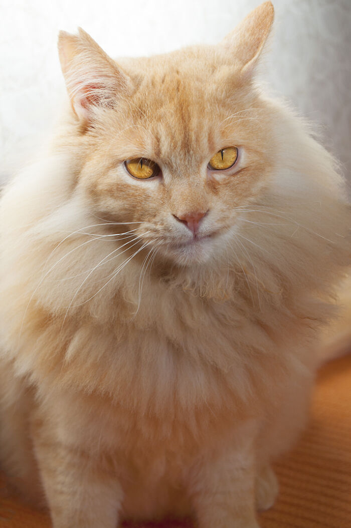 More Photos Of Chataro's Amazing Transformation More Photos Of Chataro's Amazing Transformation