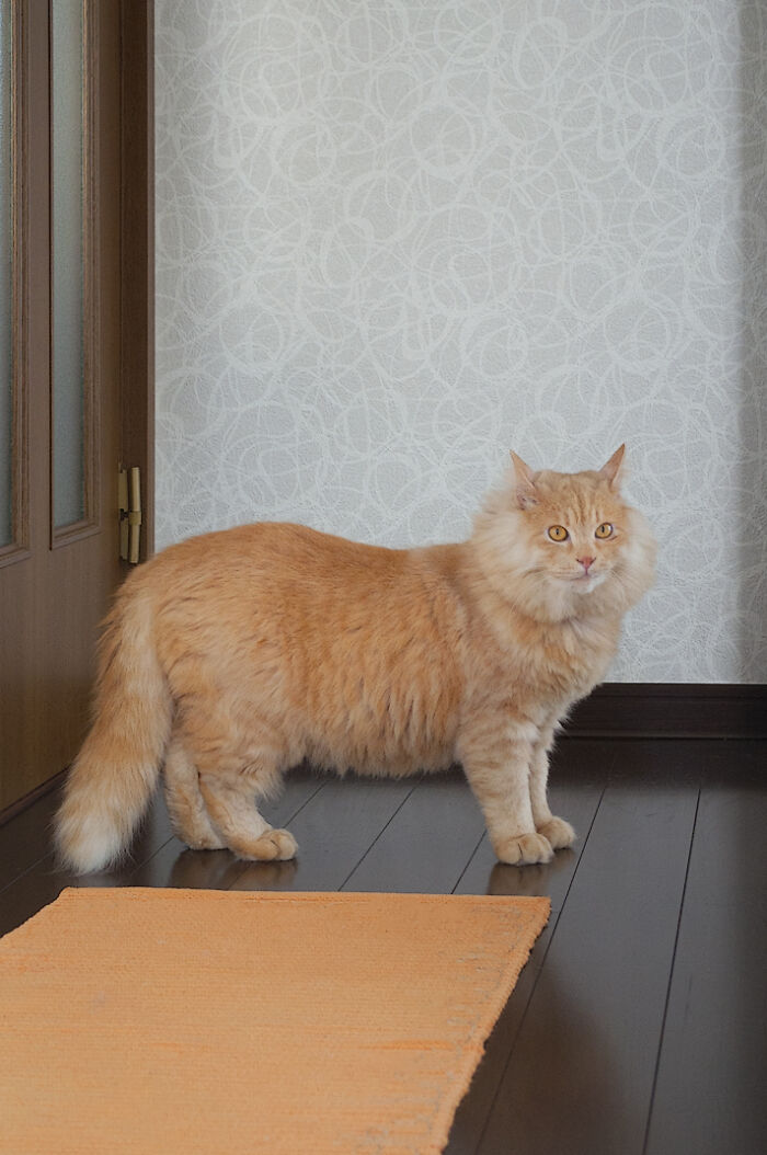 More Photos Of Chataro's Amazing Transformation