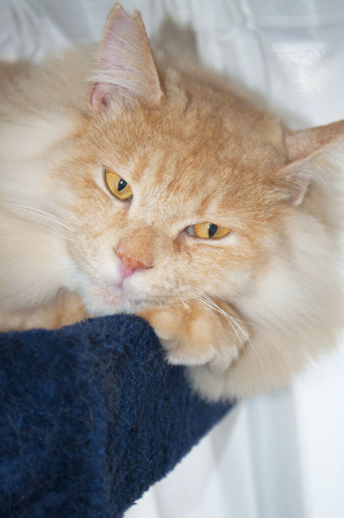 More Photos Of Chataro's Amazing Transformation More Photos Of Chataro's Amazing Transformation