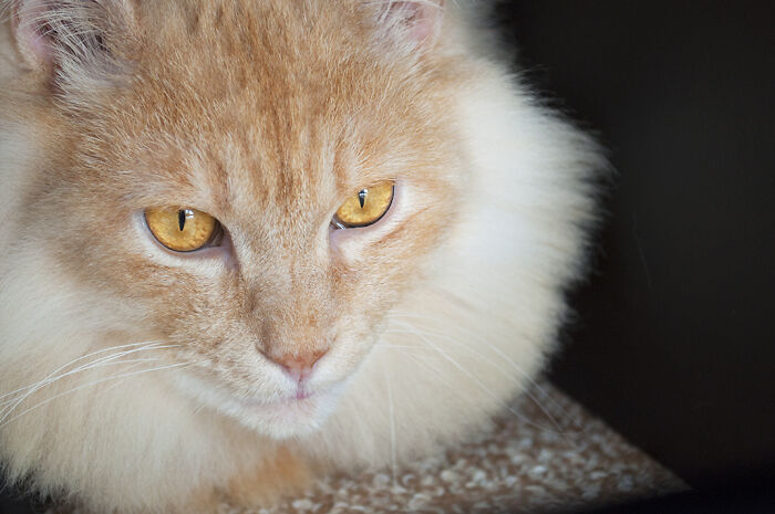 More Photos Of Chataro's Amazing Transformation