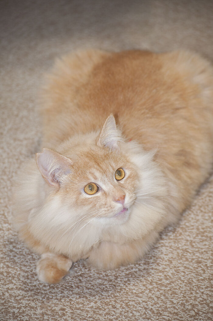 More Photos Of Chataro's Amazing Transformation More Photos Of Chataro's Amazing Transformation