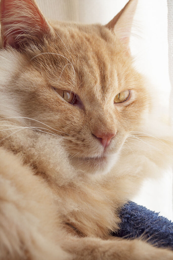 More Photos Of Chataro's Amazing Transformation More Photos Of Chataro's Amazing Transformation