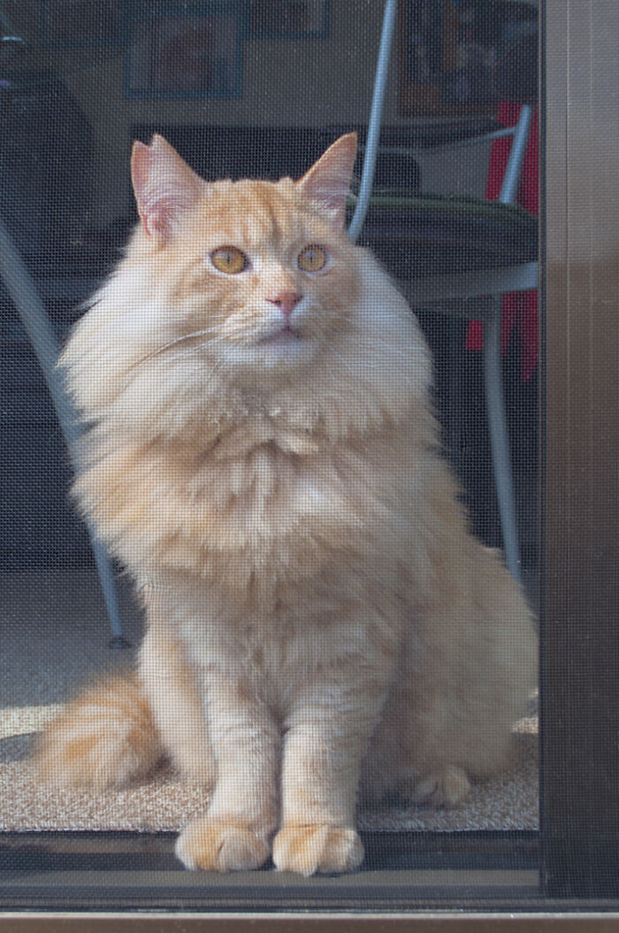 More Photos Of Chataro's Amazing Transformation More Photos Of Chataro's Amazing Transformation