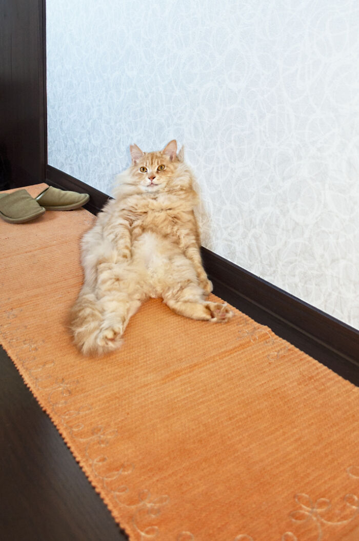 More Photos Of Chataro's Amazing Transformation