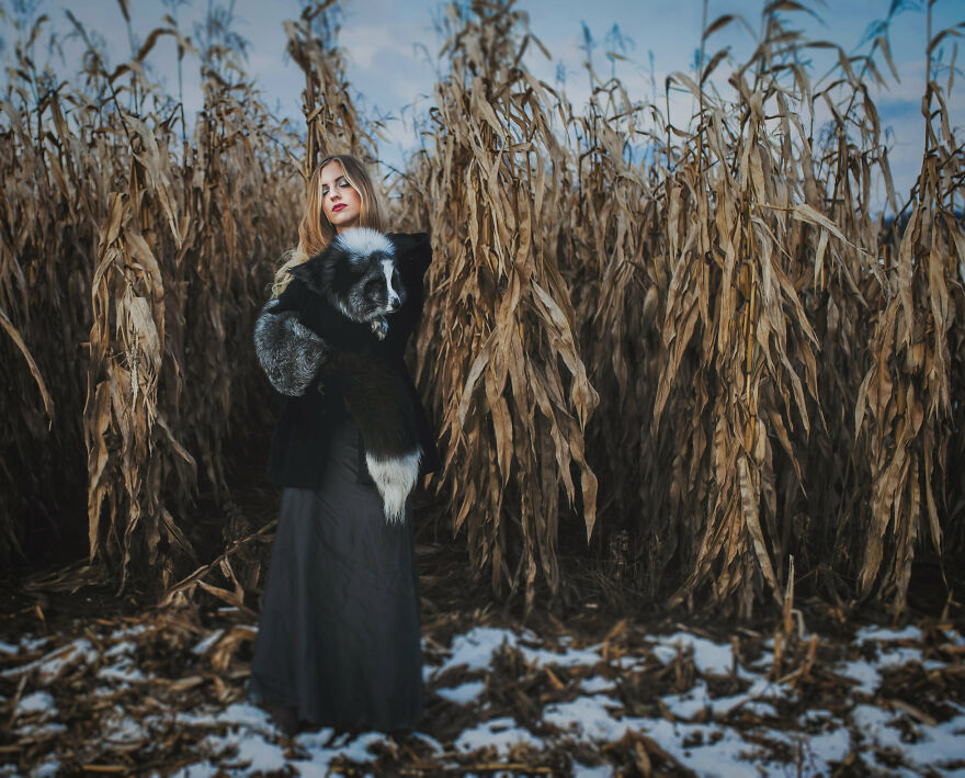 The Fairytale Of A Girl Who Found A Fox In A Corn Field
