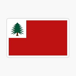 davidmatayabas avatar