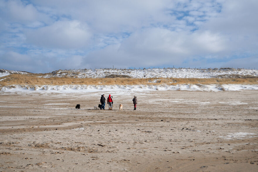 People Walking Their Dogs