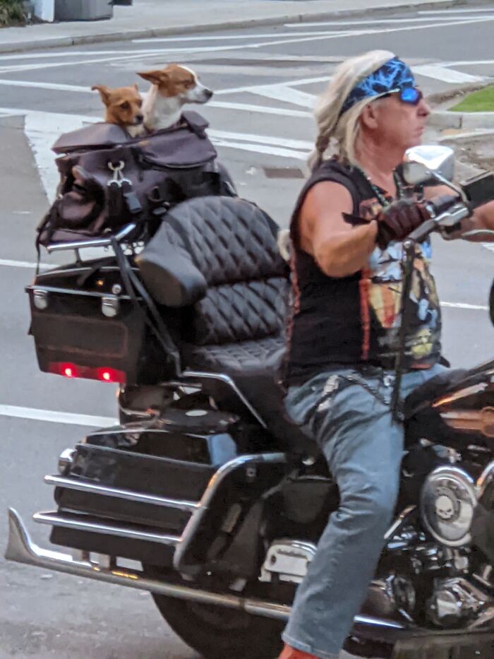 Support Your Local Mc!