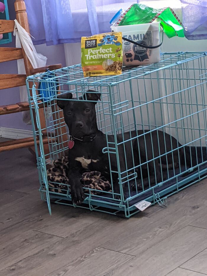 Eminence: Rescued 12/12/20