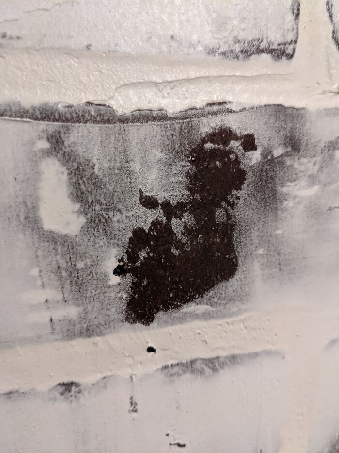 Bearded Ponytail Man In Our Spackled Brick Wall