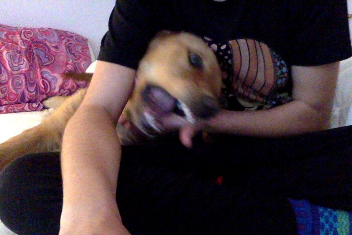 I Said, Don't. Pet. Me!!!