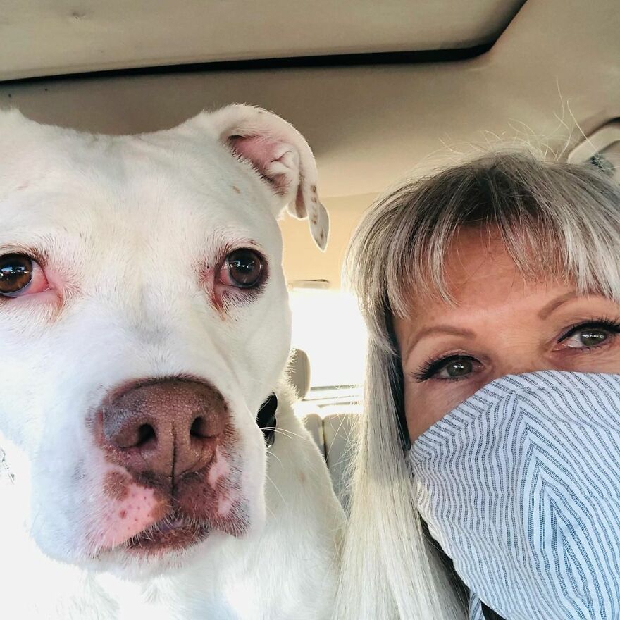 This Underweight Pit Bull Was Found In An Abandoned Apartment, But Her Fortune Has Turned, And Now She's Safe This Underweight Pit Bull Was Found In An Abandoned Apartment, But Her Fortune Has Turned, And Now She's Safe