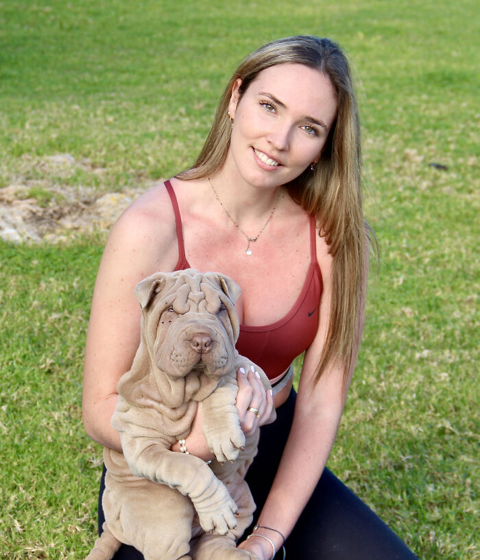 Blanket-Dog-Shar-Pei-Wrinkles-Harvey-Thesharpei
