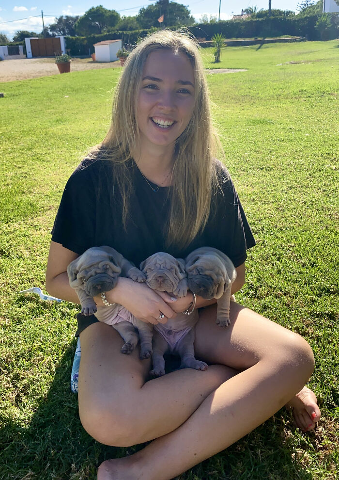 Blanket-Dog-Shar-Pei-Wrinkles-Harvey-Thesharpei