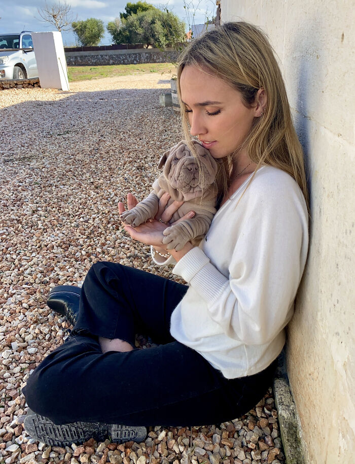 Blanket-Dog-Shar-Pei-Wrinkles-Harvey-Thesharpei