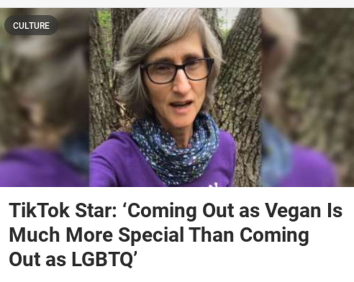 I Captued This Wild Homophobe In The Wild Internet So I Kept It To Show My Other Lgbtq+ Friends