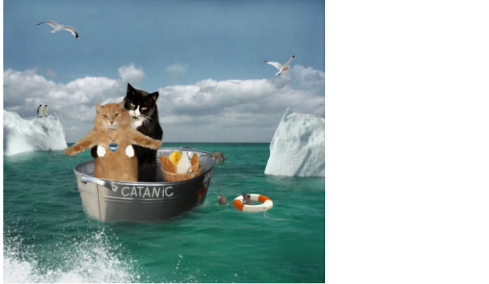 What Is Even Happening