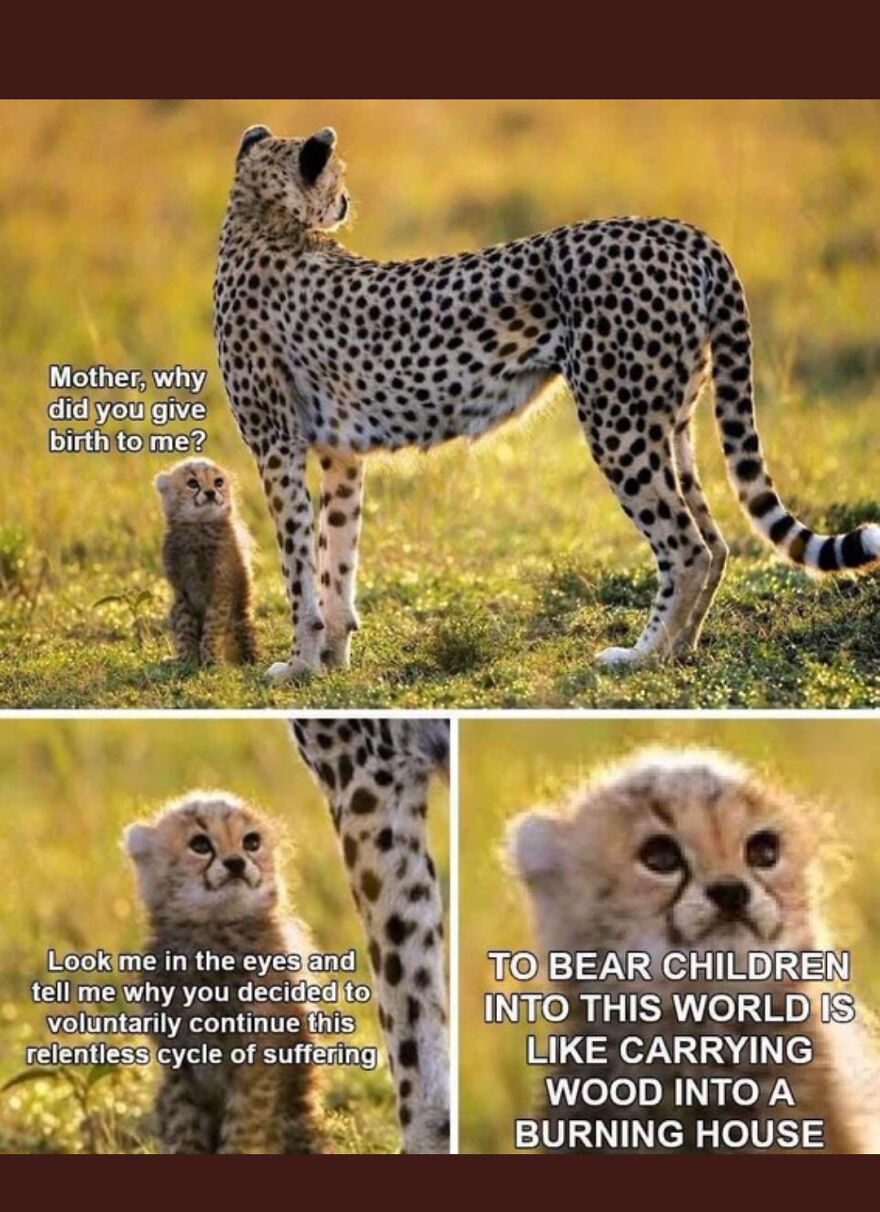 Please Answer Mother!