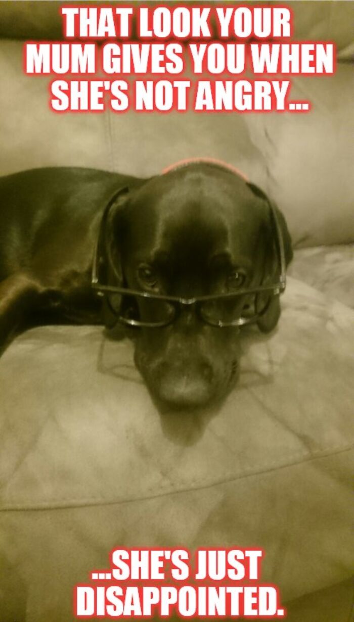 When She's Not Angry, Just Disappointed