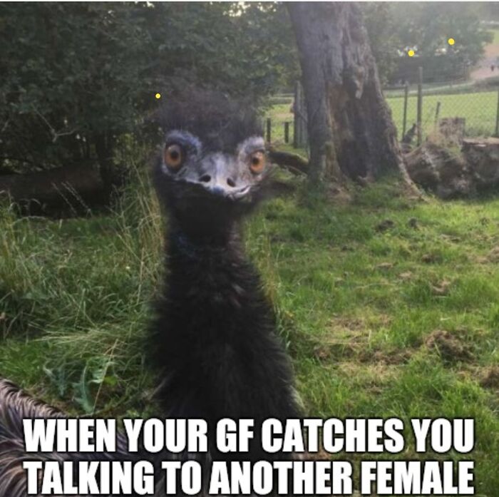 When Your GF Catches You Talking To Another Female