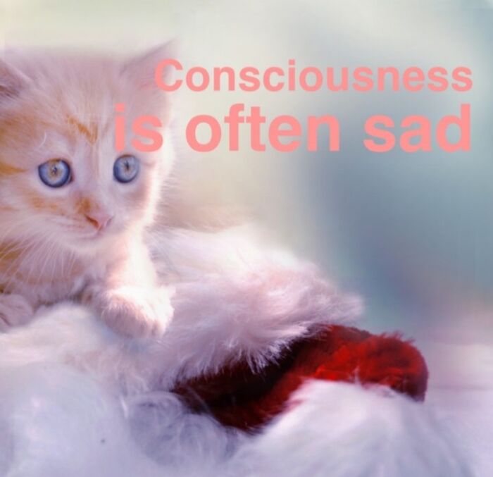 This Ai Generates Inspirational Quotes And Some Of The Results Are Hilarious