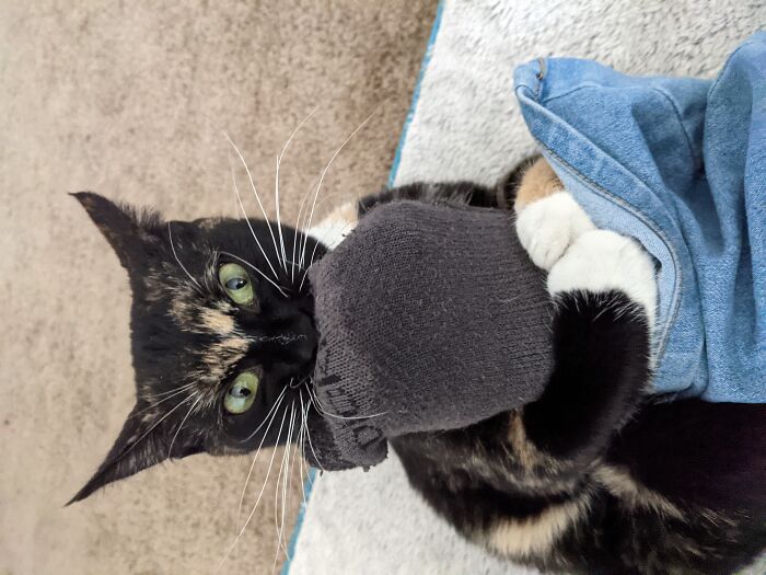 Every Sock Belongs To Pennywise. Every Morning, I Put Them On And She Tries To Take Them Back