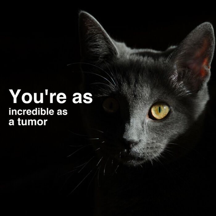 This Ai Generates Inspirational Quotes And Some Of The Results Are Hilarious