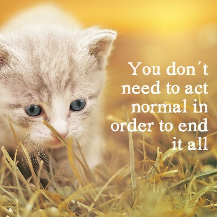 This Ai Generates Inspirational Quotes And Some Of The Results Are Hilarious