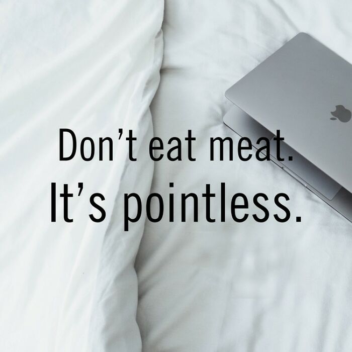 This Ai Generates Inspirational Quotes And Some Of The Results Are Hilarious