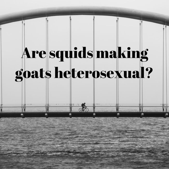 This Ai Generates Inspirational Quotes And Some Of The Results Are Hilarious