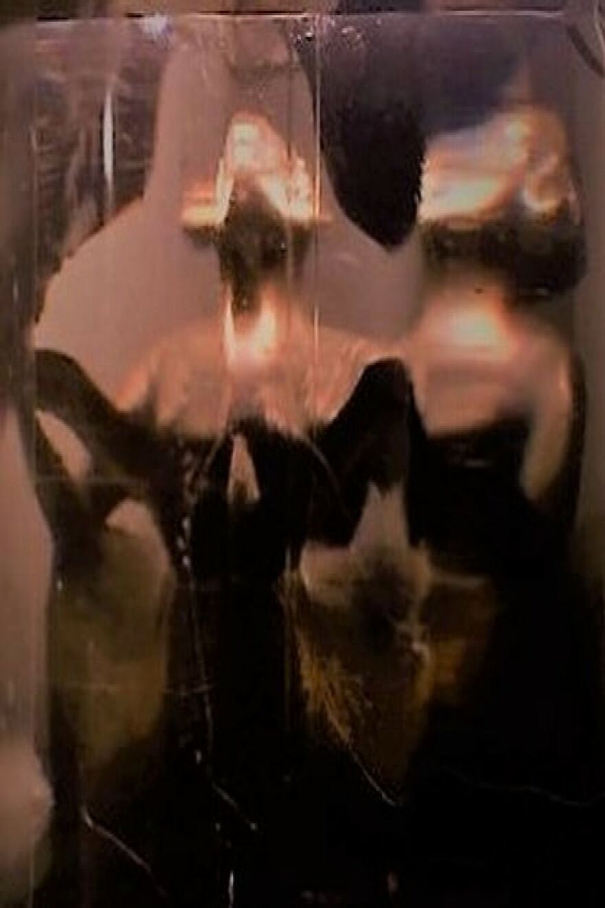 I Took A Couple Of Old Glass Bottles, Some Blue And Green Food Coloring And An iPhone And Just Started Taking Pictures. What Resulted May Just Be A Rare Peek Into A Forbidden Realm.