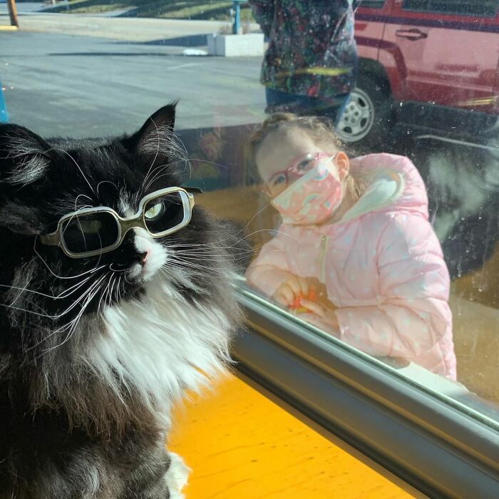 Truffles The Cat Helps Kids Feel Comfortable With Fearing Glasses When They Go To Optometrist Truffles The Cat Helps Kids Feel Comfortable With Fearing Glasses When They Go To Optometrist