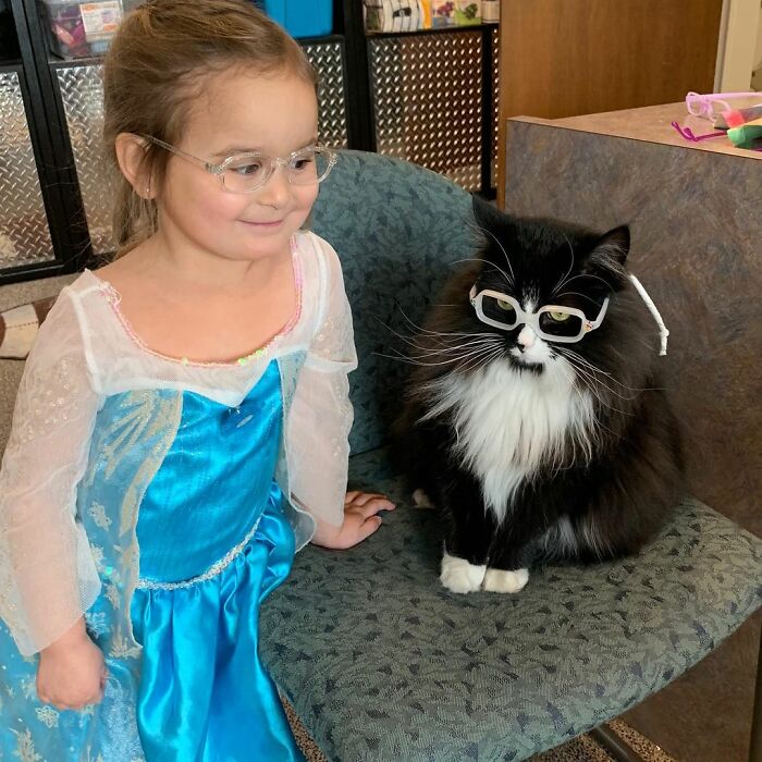 Truffles The Cat Helps Kids Feel Comfortable With Fearing Glasses When They Go To Optometrist Truffles The Cat Helps Kids Feel Comfortable With Fearing Glasses When They Go To Optometrist