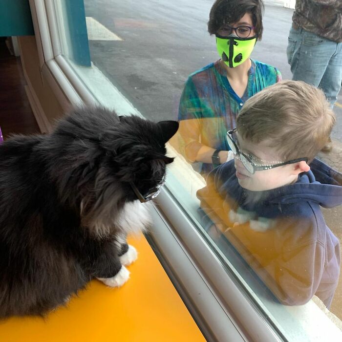 Truffles The Cat Helps Kids Feel Comfortable With Fearing Glasses When They Go To Optometrist Truffles The Cat Helps Kids Feel Comfortable With Fearing Glasses When They Go To Optometrist