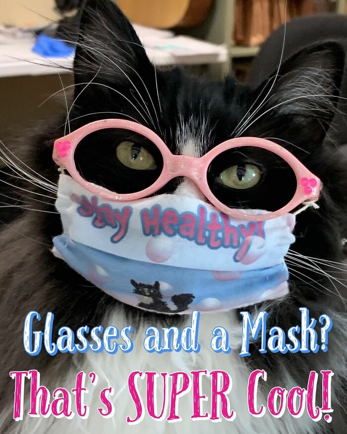 Truffles The Cat Helps Kids Feel Comfortable With Fearing Glasses When They Go To Optometrist Truffles The Cat Helps Kids Feel Comfortable With Fearing Glasses When They Go To Optometrist