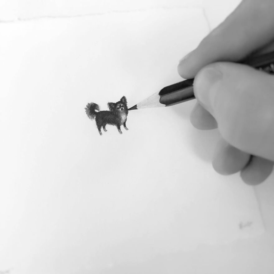 This Artist Makes Realistic Portraits Of Animals That Will Leave You Jaw-Dropping