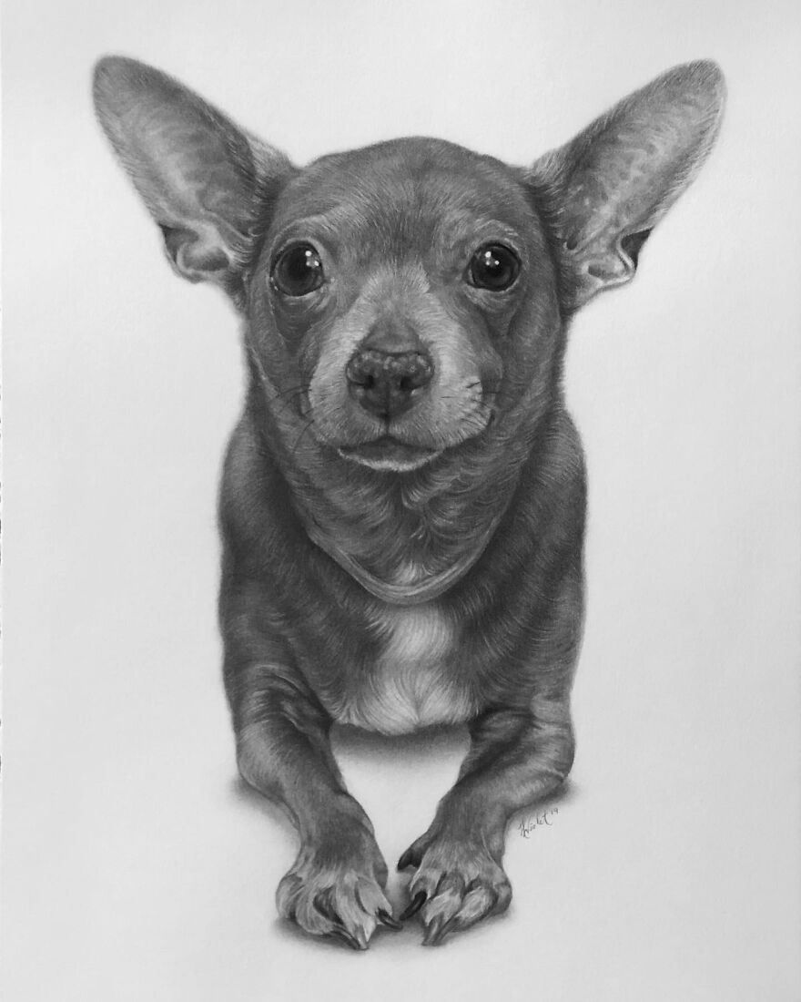 This Artist Makes Realistic Portraits Of Animals That Will Leave You Jaw-Dropping