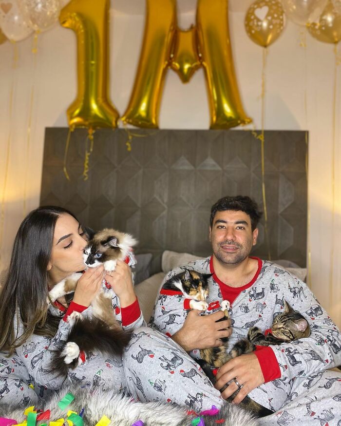 TikTok Of A Cat Having A Spa Day With Owner Goes Viral And Is Watched Over 60 Million Times