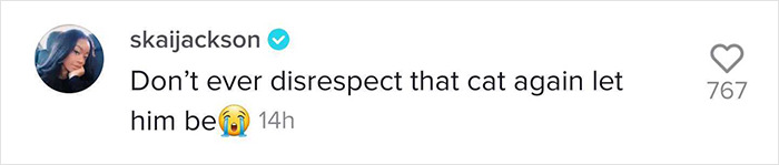 TikTok Of A Cat Having A Spa Day With Owner Goes Viral And Is Watched Over 60 Million Times