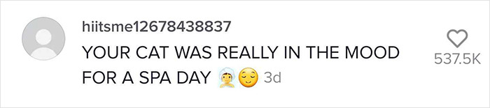 TikTok Of A Cat Having A Spa Day With Owner Goes Viral And Is Watched Over 60 Million Times