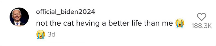 TikTok Of A Cat Having A Spa Day With Owner Goes Viral And Is Watched Over 60 Million Times